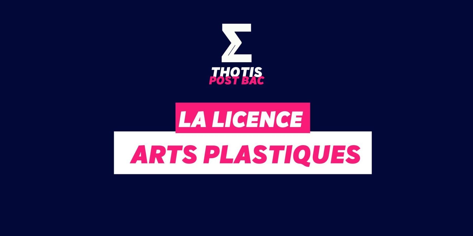 Licence Arts plastiques
