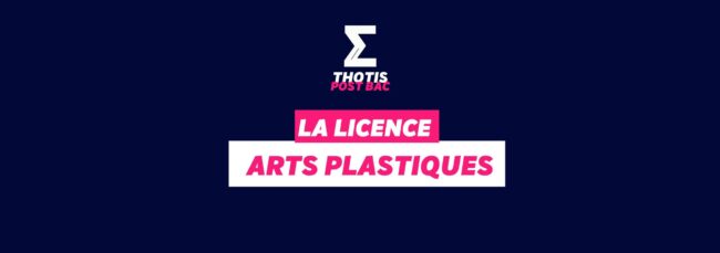 Licence Arts plastiques