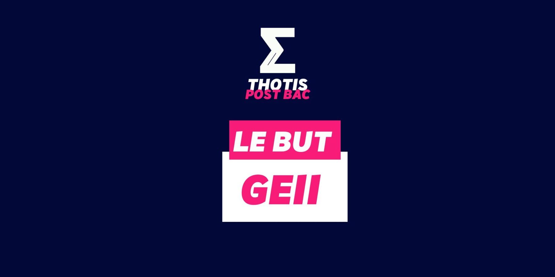 LE BUT GEII LE BUT GEII