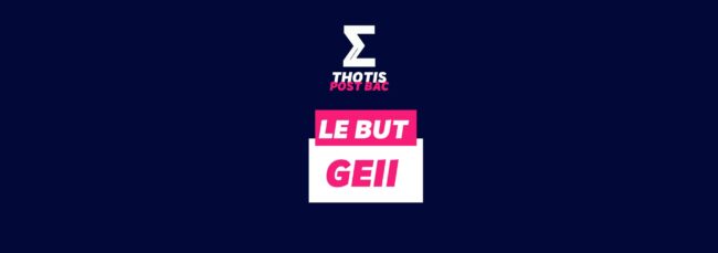 LE BUT GEII LE BUT GEII