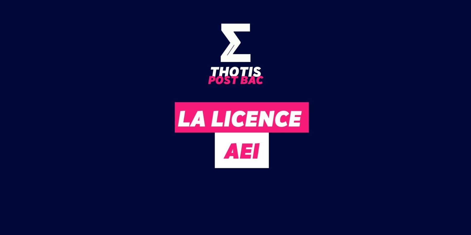 Licence AEI Licence AEI