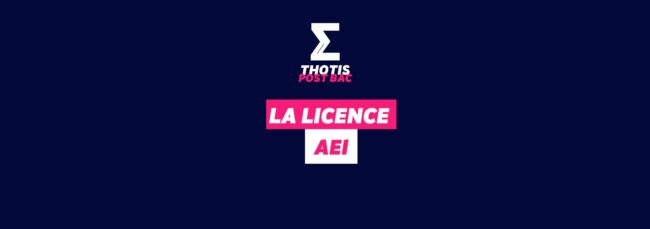 Licence AEI Licence AEI
