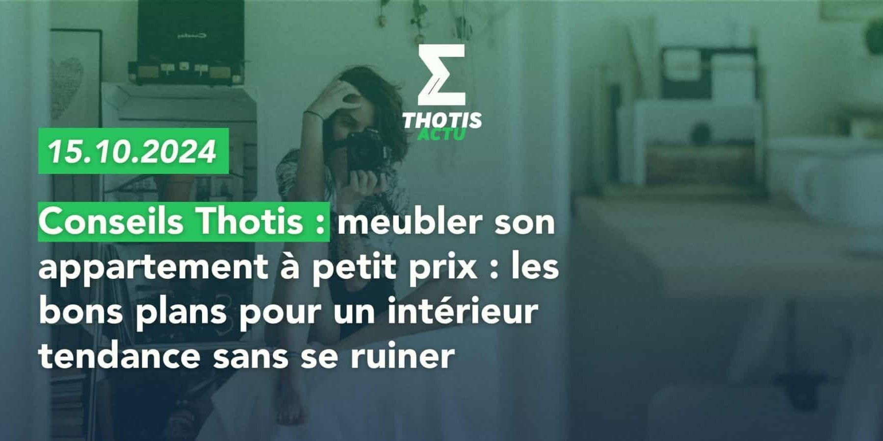 Conseils Thotis meubler son appartement à petit prix les bons plans pour un intérieur tendance sans se ruiner