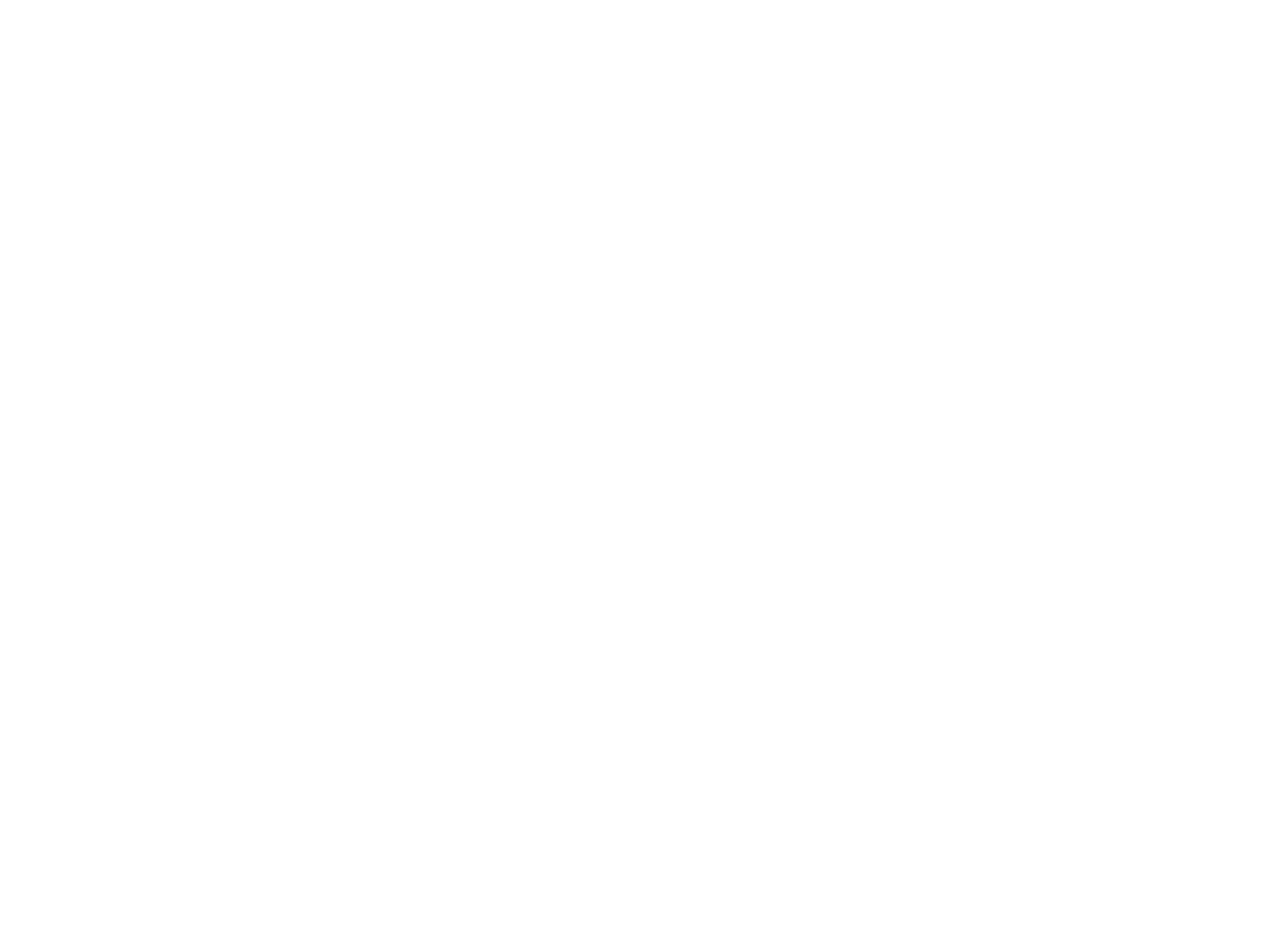 Ensta-logotype-05-blanc-rvb