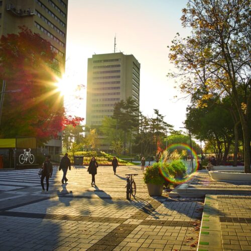 ULaval_Campus ULaval_Campus